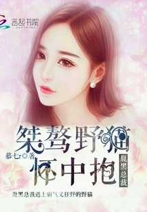 The Shady Ceo: Held in the Arms of an Unruly Wild Cat