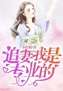 I Am Professional in Chasing My Wife