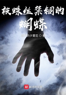 Butterfly Trapped in Spider Silk