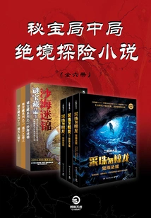 The Middle Game of the Secret Treasure Bureau: Desperate Adventure Novel (6 Volumes in Total)