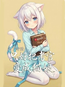 In Order to Abide by the Law, I Had to Turn the Examiner into a Cat Lady