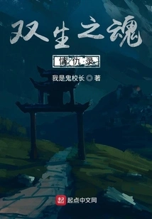 Twin Souls Love and Enmity Record