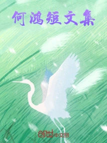 Collection of Stanley Ho's Short Essays