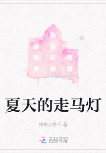 Summer Revolving Lantern