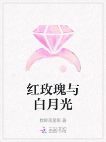 Red Rose and White Moonlight