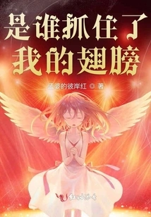 Who Grabbed My Wings