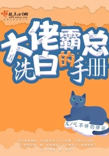 The Boss's Whitewashing Manual