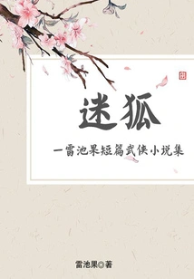 The Lost Fox: a Collection of Lei Chiguo's Short Martial Arts Novels