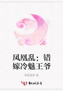 Phoenix Chaos: Marrying the Wrong Prince Leng Mei