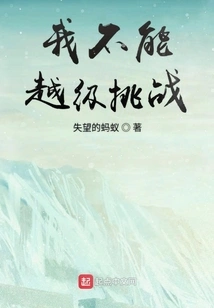 I Can't Challenge Beyond the Level