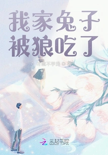 My Rabbit Was Eaten by a Wolf