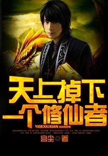 A Cultivator Fell from the Sky