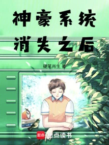 After the Shenhao System Disappeared