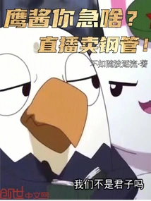 Selling Steel Pipes Live! Yingjiang, What Are You Anxious About?