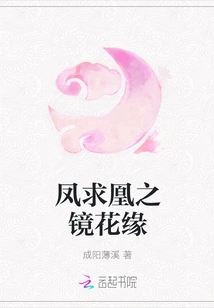 Phoenix Seeking Phoenix Mirror Flower Fate