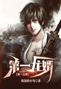 The First Son-in-law