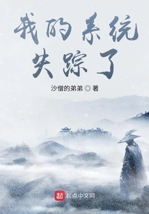 My System is Missing