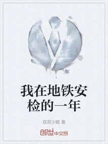 My Year at Subway Security