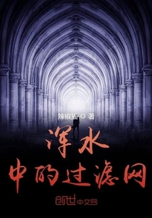 Filter in Muddy Water