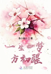 Life is Like a Dream Before You Wake Up