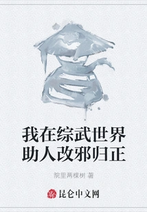 In the World of Mixed Martial Arts, I Help People Correct Their Evil Ways and Return to Their Rightful Ways