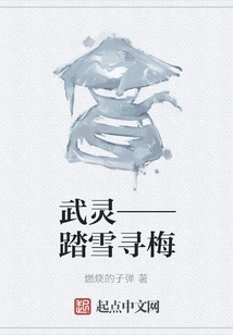 Wu Ling - Walking in the Snow to Find Plum Blossoms