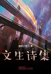 Vincent's Poetry Collection