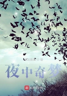 Strange Dreams in the Night