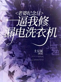 My Wife Forced Me to Fix a Leaky Washing Machine on Her Anniversary