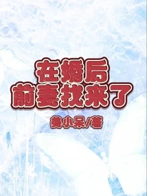 After Remarriage, My Ex-wife Came to Find Me (very Short Story)