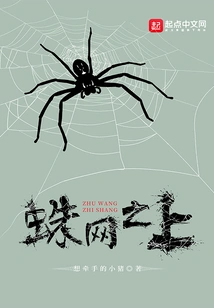 Above the Spider Web