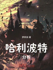 Harry Potter Analysis