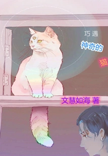 Encounter with the Magical Cat