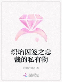 The Private Property of the Ceo of Blazing Cage