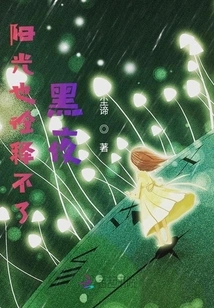 Even the Sun Cannot Explain the Dark Night