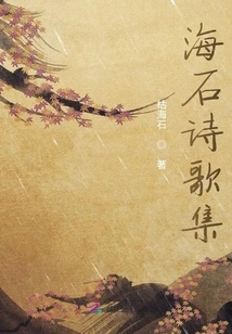 Hai Shi Poetry Collection