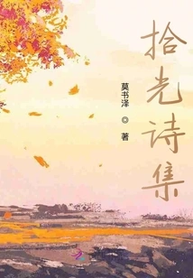 Collection of Poems About Picking up Light