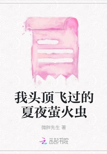 Summer Night Fireflies Flying Above My Head