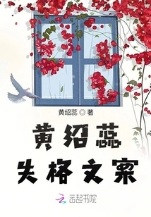 Huang Shaorui Disqualified Copywriter