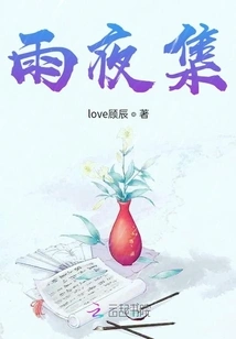 Rainy Night Collection