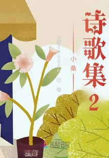Xiao Sang's Poetry Collection 2