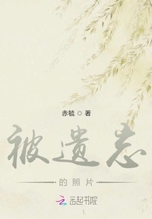 Lost and Found Memories