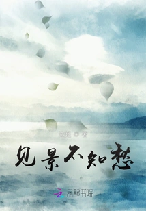 Seeing the Scenery Without Worrying