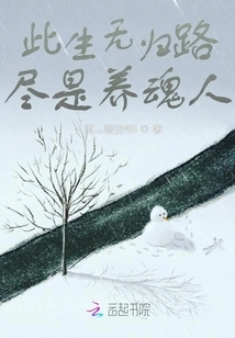 There is No Way Back in This Life, I Am Just a Soul Keeper