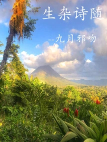 A Collection of Miscellaneous Poems