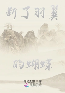 Butterfly with Broken Wings