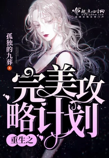 Rebirth: the Perfect Strategy Plan