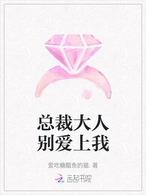 President, Don't Fall in Love with Me