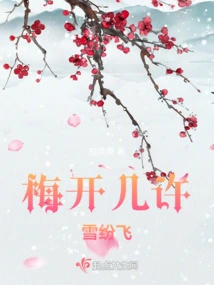 The Plum Blossoms Are Blooming and the Snow is Falling