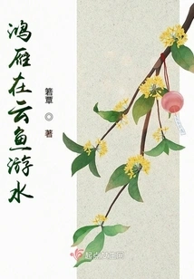 Swan Geese Swim in the Clouds